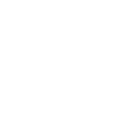 BrBualogoLogoW